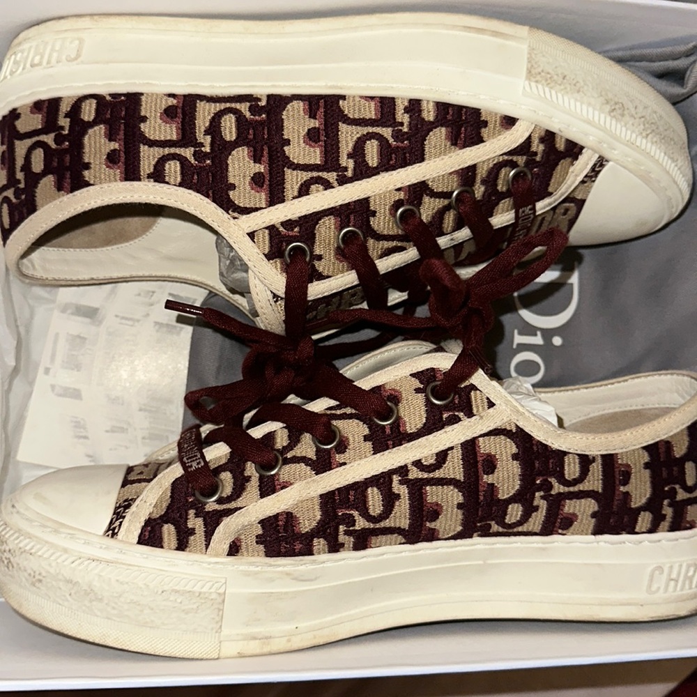 Dior oblique walk'n dior shoes